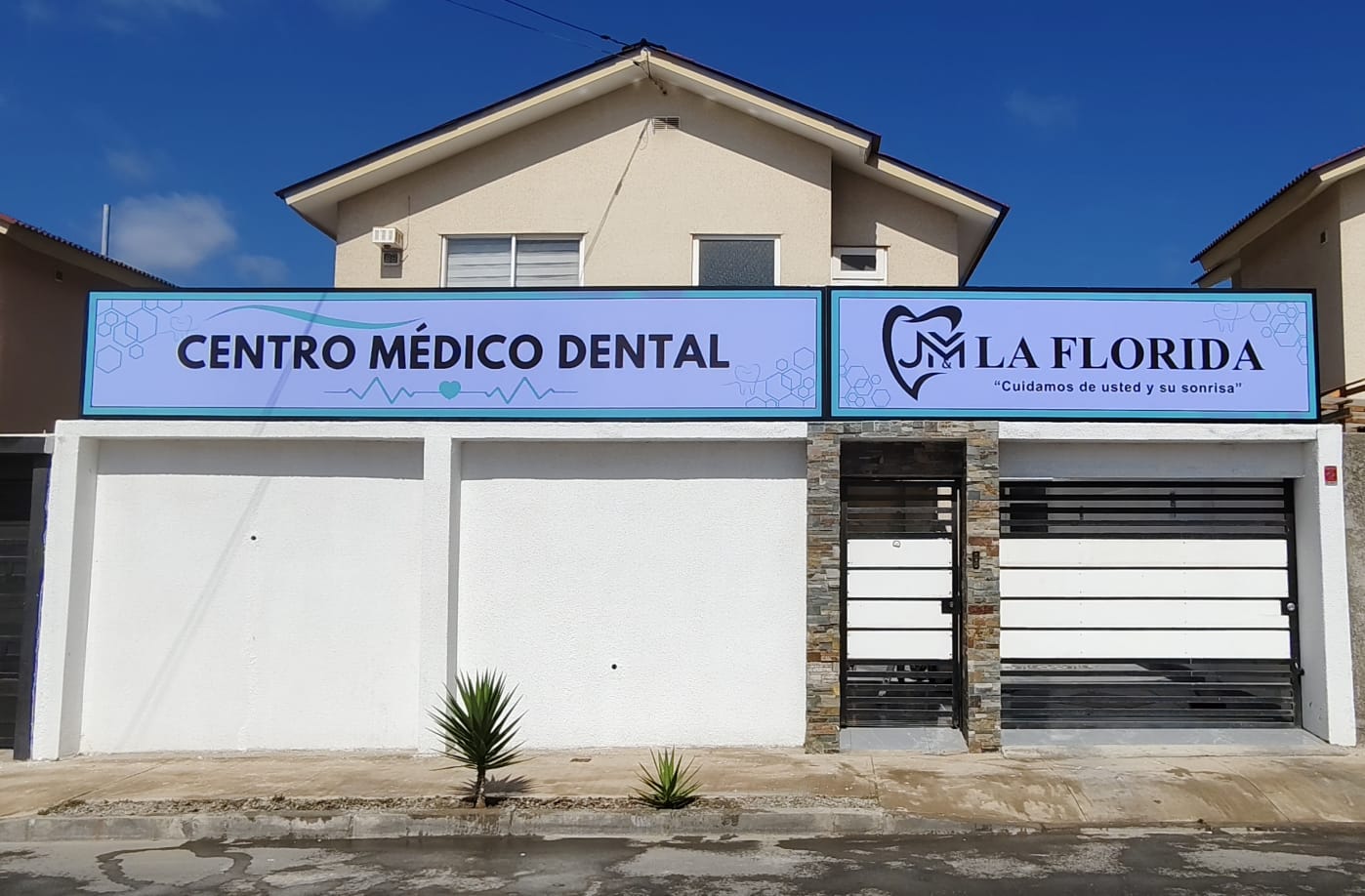 Profesional de la salud